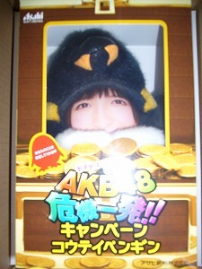 Envío gratis AKB48×WONDA Pingüino Emperador Mariko Shinoda No está a la venta, Bienes de talento, fotografía