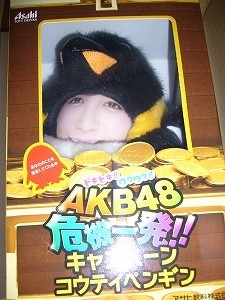 Free shipping AKB48×WONDA Emperor Penguin Tomomi Kasai Not for sale, Celebrity Goods, photograph