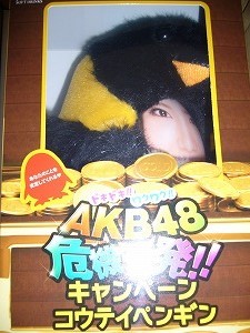 Free shipping AKB48×WONDA Emperor Penguin Kuramochi Asuka Not for sale, Celebrity Goods, photograph