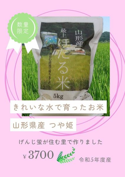 最上【ほたる米】山形県産 つや姫 5kg 令和5年度産 きれいな水でそだったお米
