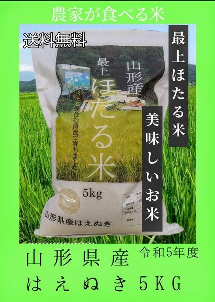 最上【ほたる米】山形県産 はえぬき 5kg きれいな水でそだったお米 農家直送 数量限定