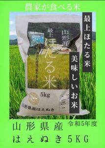 最上【ほたる米】山形県産 はえぬき 令和5年度 5kg 数量限定