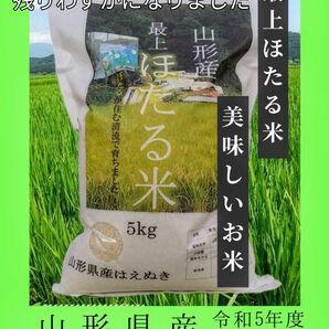 最上【ほたる米】山形県産 はえぬき 5キロ きれいな水でそだったお米 令和5年度