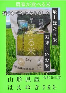 最上【ほたる米】山形県産 はえぬき 5キロ きれいな水でそだったお米 令和5年度