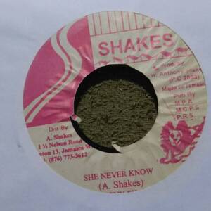 General Riddim She Never Know Anthony Shakes from Shakes