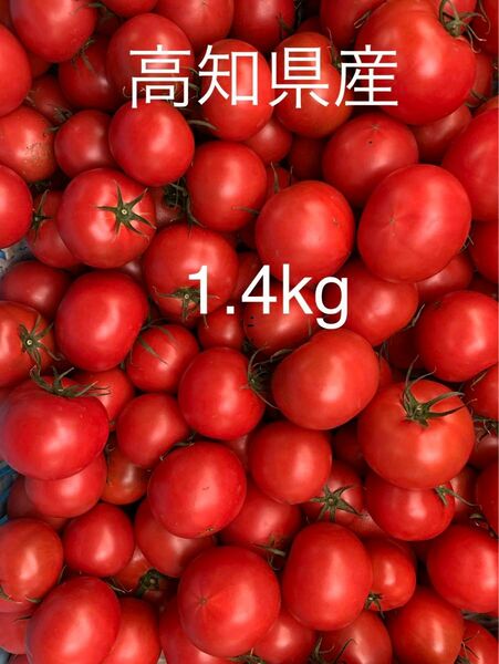フルーツトマト　1.4kg 高知県産