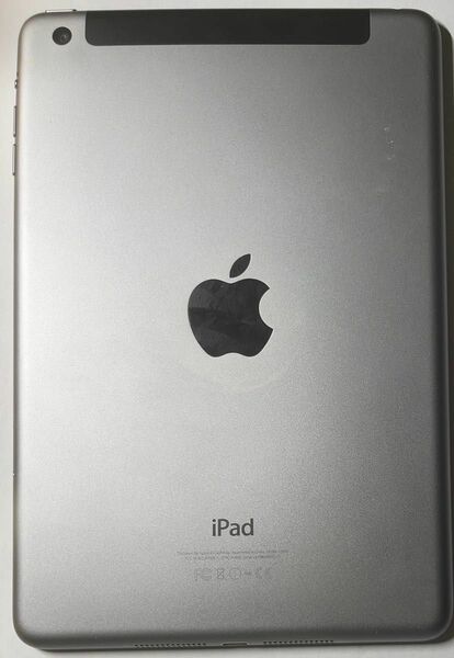 iPad mini3