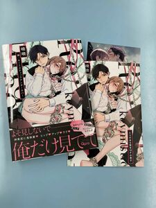 続:キーミスティックアンダーカバー　とらのあな限定小冊子　両面イラストカード　新品未読品