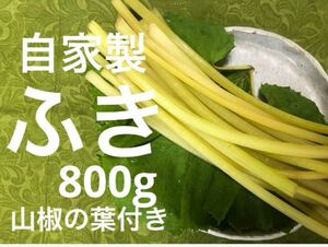 5/11発送　おまけ付き　自家製ふき800g