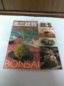 別冊 NHK 趣味の園芸 ミニ盆栽と苔玉