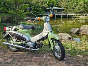 超貴重！1996年式 ホンダ 純正リトルカブラC-50型 走行10683km 極上車 