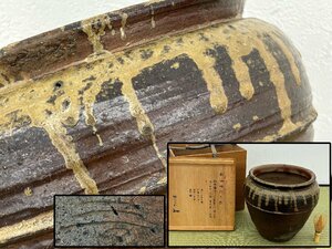  peach mountain era old Bizen water shop jar . "hu" pot katsura tree moreover, Saburou . box Bizen . antique goods work of art 6038mbdyN