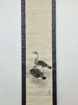 真作保証 藤井松林 双鴨の図 紙本 合箱 備後 掛軸 書画 骨董品 美術品 4208vqMM_画像3