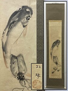 真作保証 藤井松林 魚の図 合箱 紙本 備後 掛軸 書画 骨董品 美術品 4207kqN