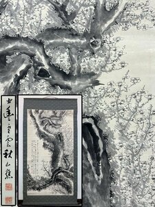 大幅 雪雲銘 梅の図 紙本 合箱 約219×112.5cm 掛軸 書画 骨董品 美術品 6110mbyN