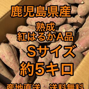 鹿児島県産　熟成紅はるか　Sサイズ　箱込5キロ