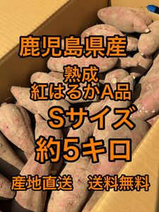 鹿児島県産　熟成紅はるか　Sサイズ　箱込5キロ