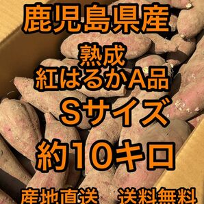 鹿児島県産　熟成紅はるか　Sサイズ　箱込10キロ