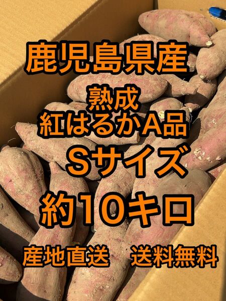 鹿児島県産　熟成紅はるか　Sサイズ　箱込10キロ