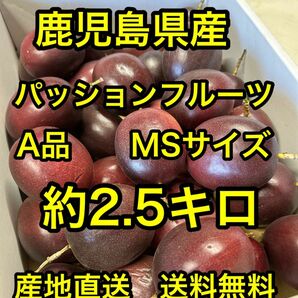 鹿児島県産　産地直送パッションフルーツA品　MSサイズ　約2.5キロ