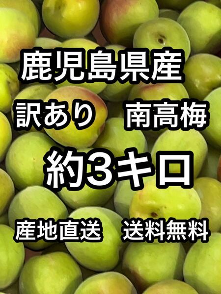 鹿児島県産　訳あり南高梅　L〜3Lサイズ　約3キロ　