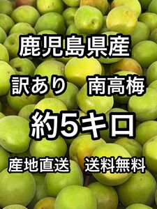 鹿児島県産　訳あり南高梅　L〜3Lサイズ　約5キロ　