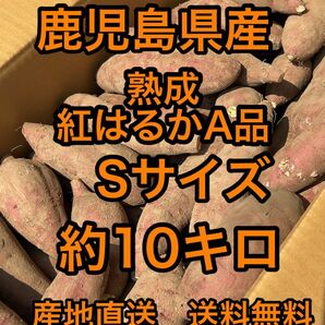 鹿児島県産　熟成紅はるか　Sサイズ　箱込10キロ