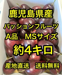 鹿児島県産　産地直送パッションフルーツA品　MSサイズ　約4キロ