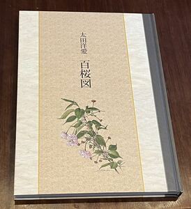 太田洋愛 百桜図 SAKURA BOTANICAL ART Yoai Ohta