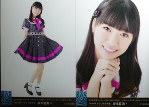 NMB48山本彩 卒業コンサートSAYAKASONIC~さやか,ささやか,さよなら,さやか~ランダム生写真TeamMドラフト研究生 坂本夏海 ABフルコンプ