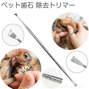  pursuit equipped dog tooth stone removal ske-la- for pets tooth stone taking . oral cavity care apparatus dog dental caries brush teeth tooth stone for .(p0