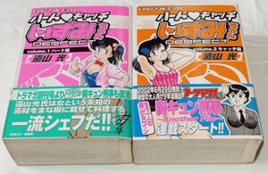 【即決/送料無料】ハートキャッチいずみちゃん PERFECT vol.1ハート編 + vol.2キャッチ編　遠山光 初版