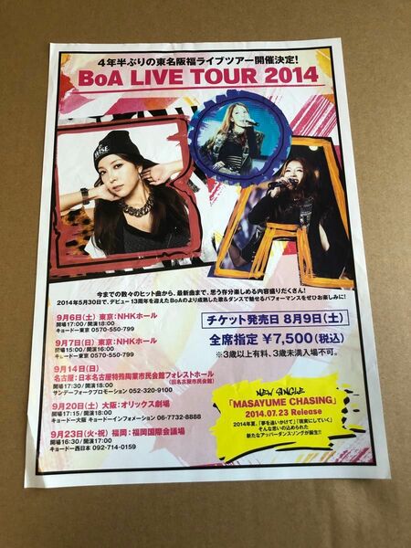 BoA ライブツアー 2014 チラシ