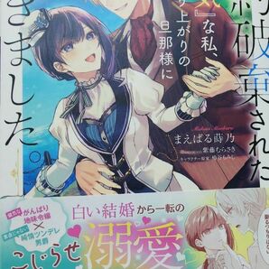 婚約破棄された『空気』な私、成り上がりの旦那様に嫁ぎました。 （ＭＡＧ　Ｇａｒｄｅｎ　ＮＯＶＥＬＳ） まえばる蒔乃／著