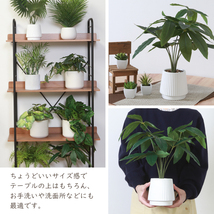 観葉植物 フェイクグリーン 人工観葉植物 鉢付き 造花 オフィス FGB-0128_画像4