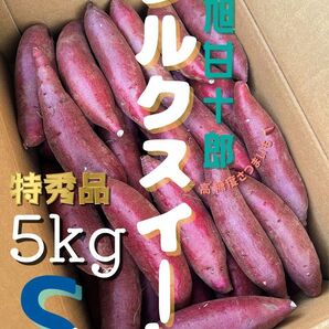 茨城県産 旭甘十郎シルクスイート [特]Sサイズ 約5kg 長期熟成さつまいも