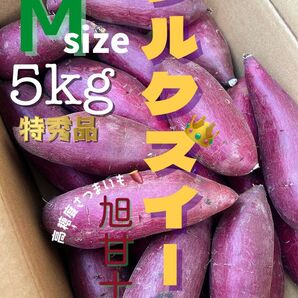 茨城県産 旭甘十郎シルクスイート [特]Mサイズ 約5kg 長期熟成さつまいも