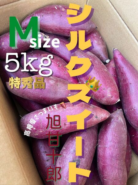 茨城県産 旭甘十郎シルクスイート [特]Mサイズ 約5kg 長期熟成さつまいも