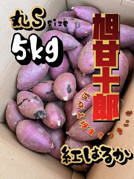 茨城県産 旭甘十郎紅はるか [丸]Sサイズ 約5kg 長期熟成さつまいも