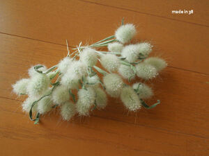  dry flower la glass Mini 30ps.@ material for flower arrangement raw materials ①
