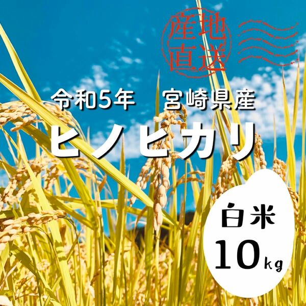 【令和5年産】白米 10kg｜宮崎県産ヒノヒカリ｜農家直送