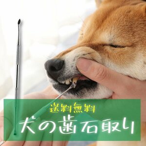 【送料無料】ペット用 歯石取り 安全 口腔ケア 器具 スケーラー 犬用 猫用 犬 猫 ネコ 虫歯 歯周病 ヤニ取り 口臭予防 犬のお口ケア 歯磨き