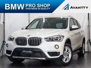 X1 x Драйв 18D X Line 4WD Подличный кожа