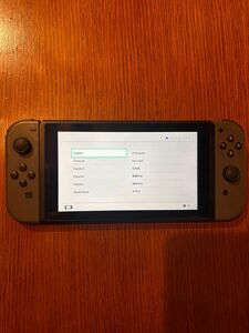 Nintendo Switch グレー　プロコン付き！