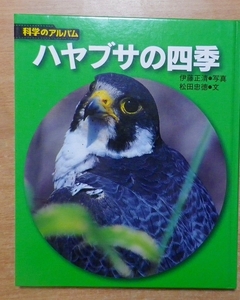 ハヤブサの四季 新装版