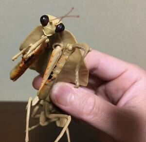 美品バンダイガシャポンいきもの大図鑑かまきり02ヒシムネカレハカマキリライトブラウン