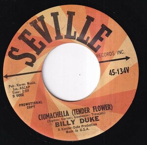 Billy Duke - 609 / Ciumachhella (Tender Flower) (A) RP-R229