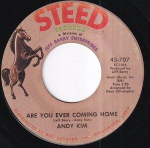 Andy Kim - How'd We Ever Get This Way? / Are You Ever Coming Home? (A) RP-T110