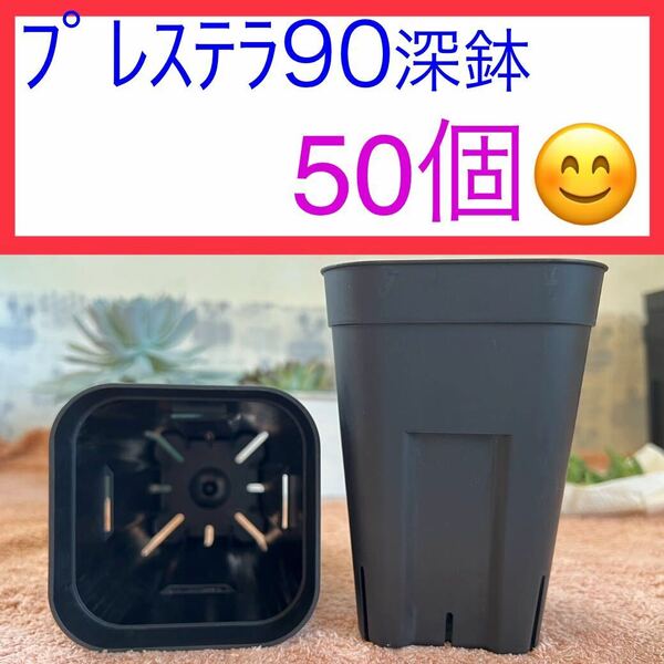 D⑦ 【プレステラ90深鉢】ブラック 50個セット★