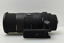 SIGMA APO 50-500mm F4-6.3 EX DG HSM フォーサーズマウント OLYMPUS Panasonic［005616050］_画像4